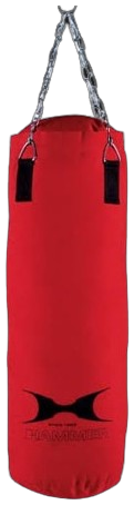 Boxing Bag Image