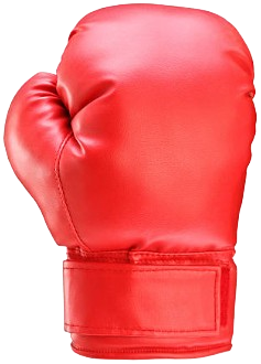 Boxing Glove